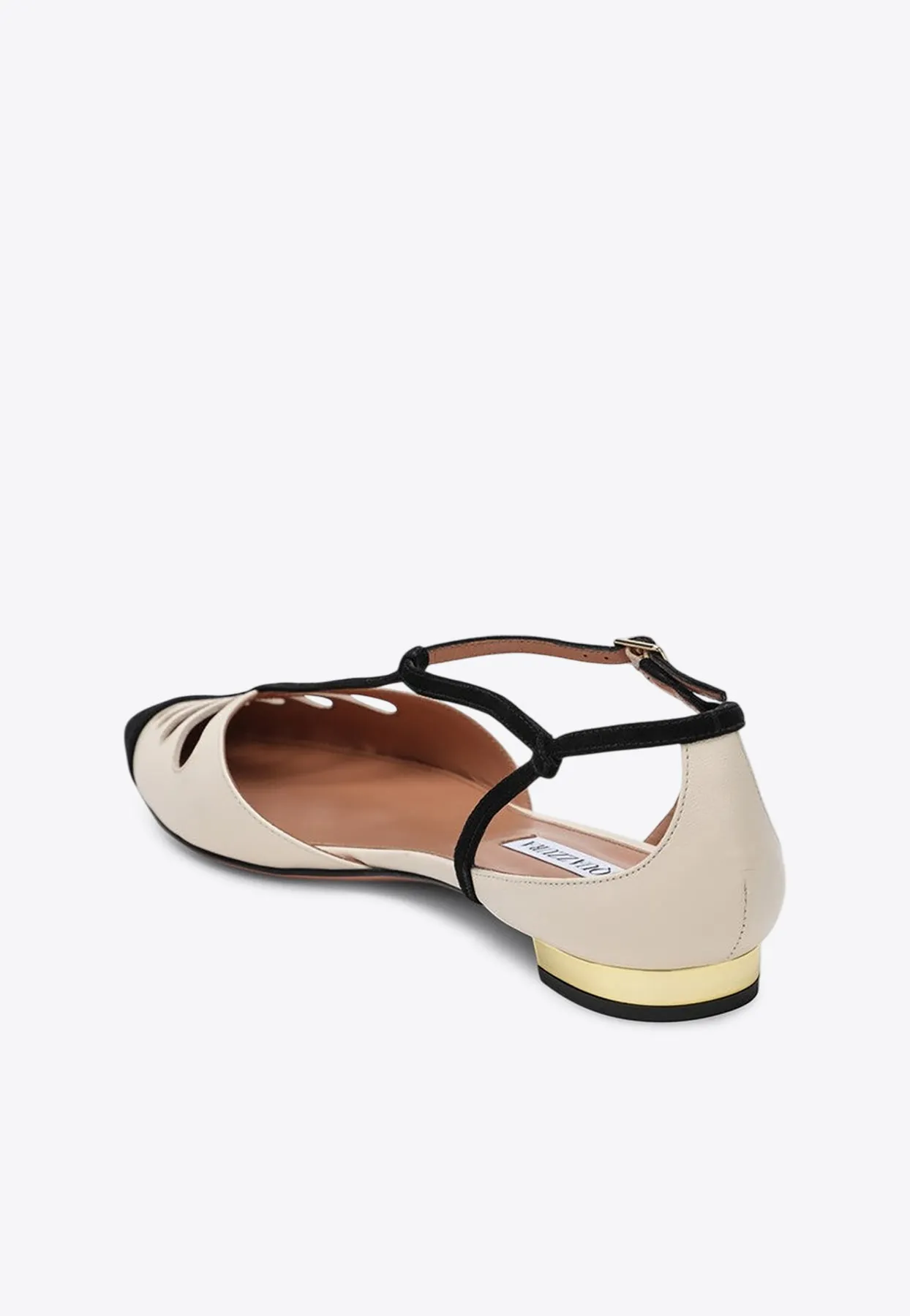 Camille Pointed-Toe Flats