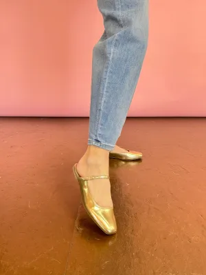 DV Montrice Mule
