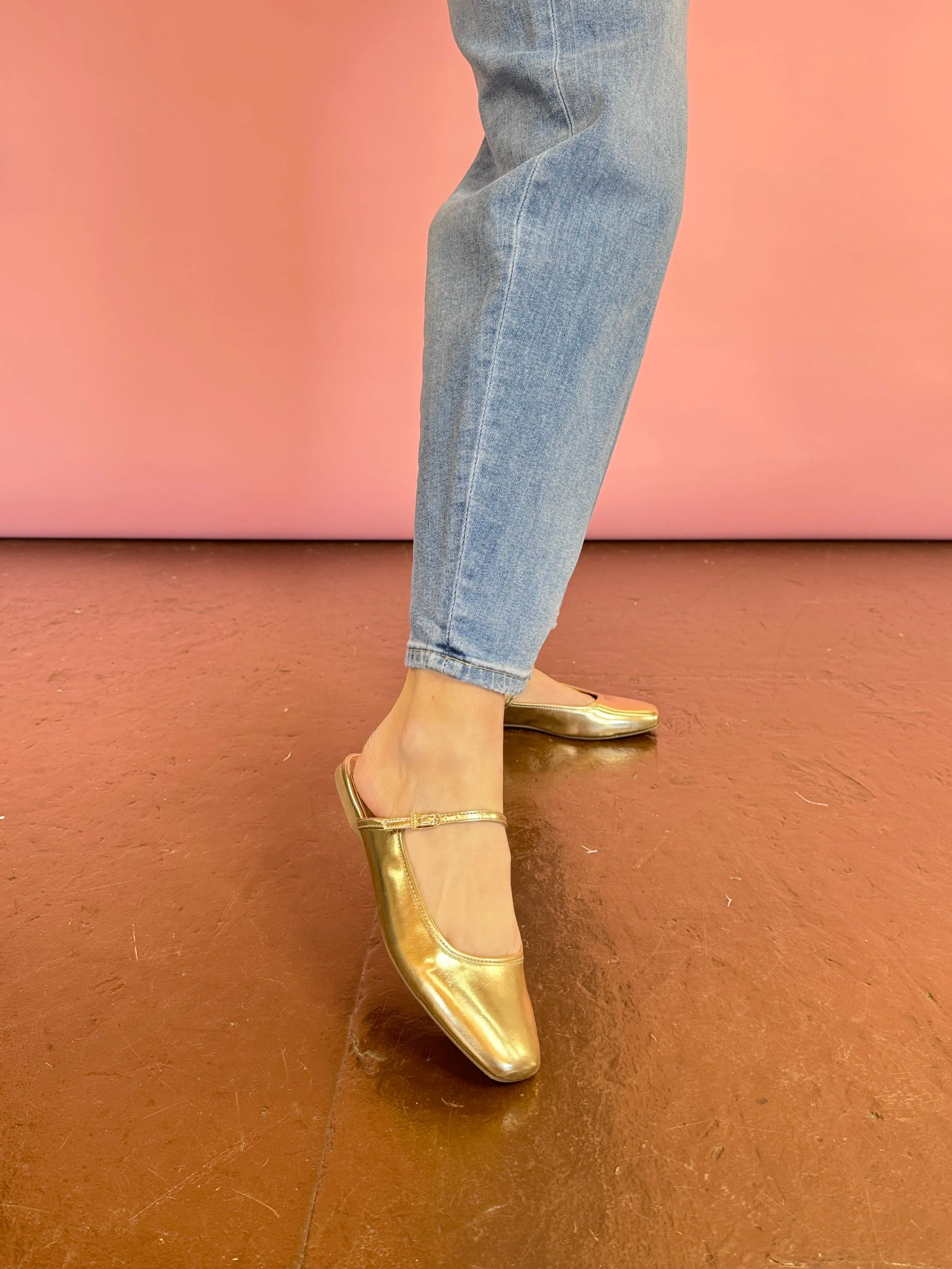 DV Montrice Mule