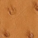 Handmade Mel Genuine Ostrich Wallet with Tab