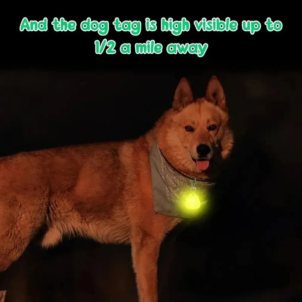 LED Pet Pendant Collar