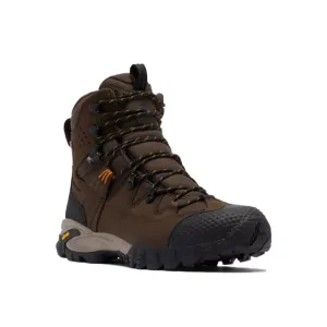 Men's Geoterra Outdry Leather