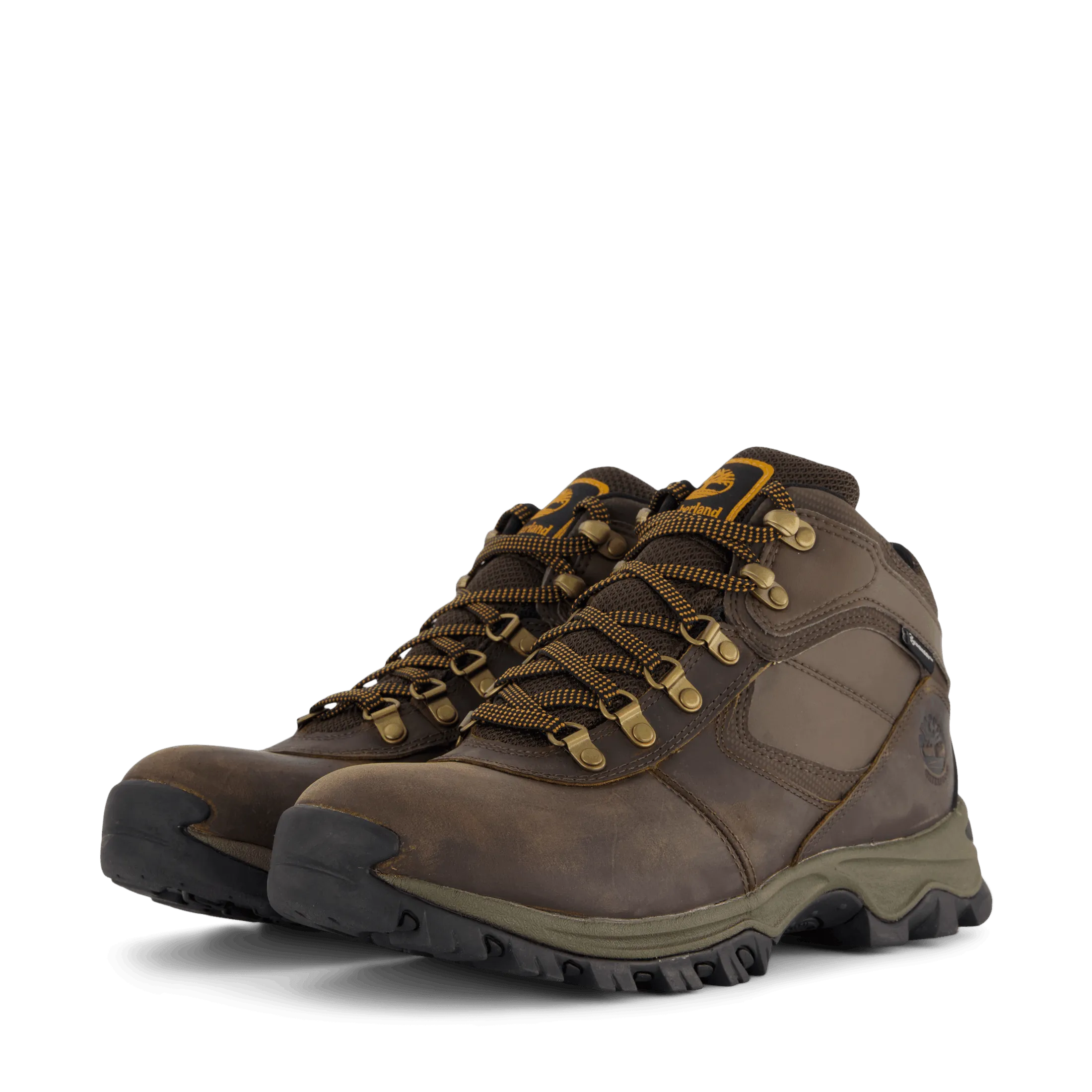 Mt. Maddsen Mid Lace Up Waterp Dark Brown
