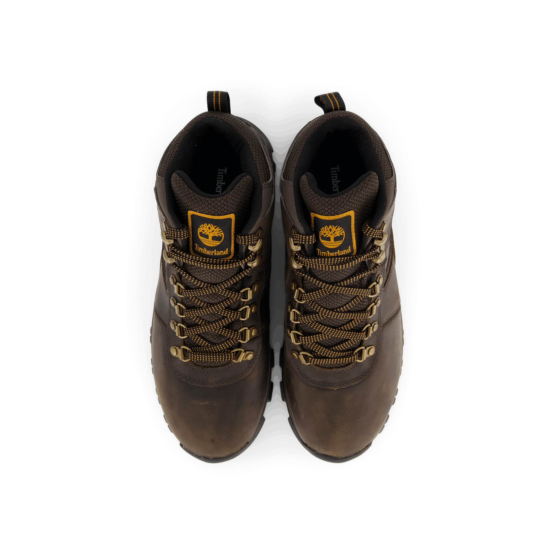 Mt. Maddsen Mid Lace Up Waterp Dark Brown