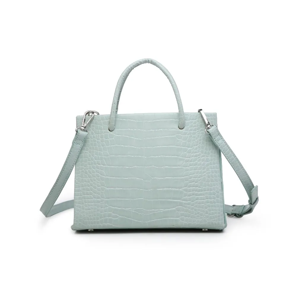 Porter Mini Tote