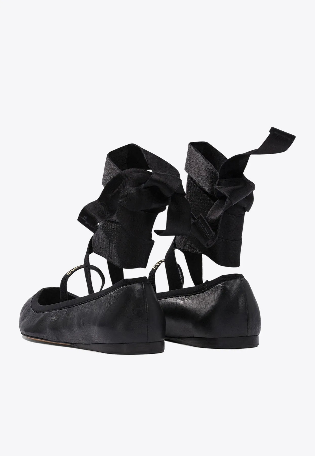 Sofia Wraparound Leather Ballet Flats